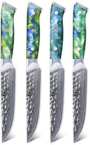 WILDMOK Juego de cuchillos para bistec de Damasco de 20 cm, 4 cuchillos de cocina para bistec profesionales afilados, de acero Super VG10 japonés con mango G10 de espiga completa