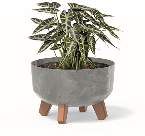 botle Bonsai Schale Baum Mini Garten Blumentopf an den Füßen Pflanzkübel D 23,5 cm hell Grau Kunststoff Töpfe mit Einsatz Beton Optik Übertöpfe Kakteen