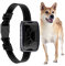 Halsband for Hunde Automatisierung,Upgraded Hundehalsband,Neuartiges und praktisches,rutschfest verschleißfest Geeignet für alle Größen von großen und kleinen Hunden (s0)
