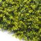 TENAX Siepe Sintetica a Pannelli per Parete Giardino Verticale, Tipo Bosso Verde Chiaro, Divy 3D Panel Buxus 0,50 x 1 m, componibile per Decorazione e schermatura