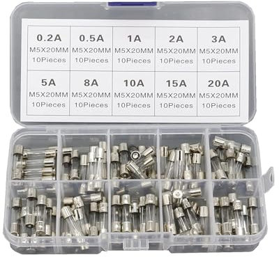 ZYHNYTAO Sicherung, 100 Stück, 5 x 20 mm, flinke Glasrohrsicherung, verschiedene Kits, flinke Glassicherungen, 0,2 A, 0,5 A, 1 A, 2 A, 3 A, 5 A, 8 A, 10 A, 15 A, 20 A, 5 × 20