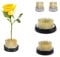 AMONENZ 4 Stück Steckigel Blumen, 3 Größen Ikebana Blumenigel, Blumenarrangement Werkzeuge für Zuhause Garten Hotel (23mm/23mm/34mm/46mm)