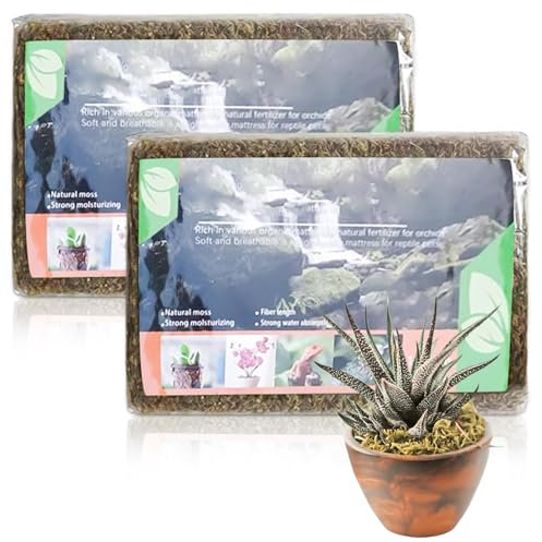 2 Stück Sphagnum Moos, 2x150g Orchideen Terrarium Blumenerde, Reptile Natürliches Sphagnum Deko, Zimmerpflanzen Feuchtigkeitsspendende Ernährung Organisches Torfmoos für Orchideen und Bonsai Reptilie