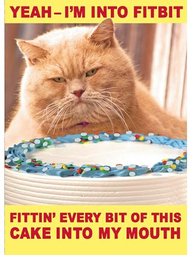 UK Greetings Birthday Card For Him/Her/Friend With Envelope - Funny Ginger Cat Design
