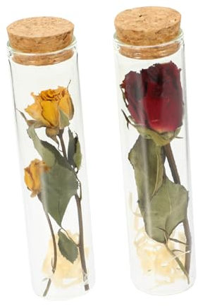Ciieeo 2pcs Dried Flower Wishing Bottle Small Jar Vial Flowers Decorative Apothecary Mini Dry Bottles Dried Flower Container Clear Wishing Wishing Bottle