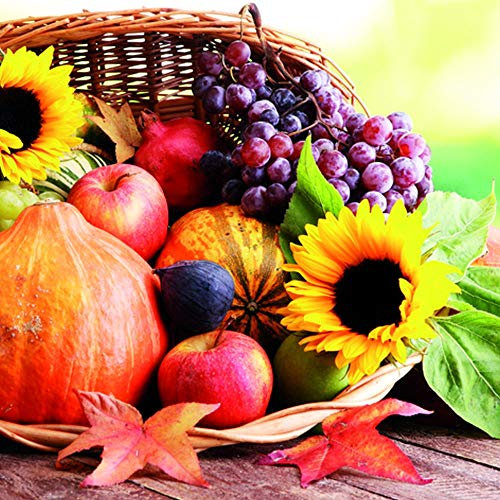 20 Serviette Herbst Früchte Autumn Herbstmotiv 33 x 33 cm