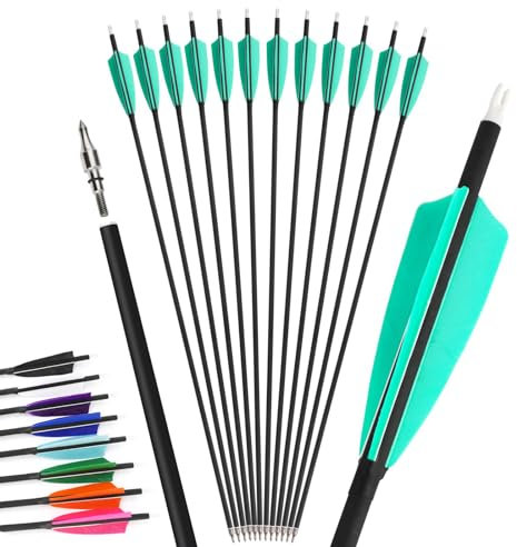 12Pcs 4inch Türkei Feder gemischt Carbon Pfeil 500 Spine Bogenschießen Jagdpfeile Anzug für Compound/Recurve Bogen Ziel Praxis Pfeil (blau, 30 Zoll)
