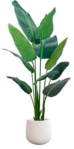 DRMEE Kunstpflanze Paradiesvogel Künstlicher Bananenbaum Heimdekoration Zubehör Künstliche Pflanzen Raumdekoration Bonsai Gefälschte Pflanzen Künstliche Pflanzen (Size : 160cm)