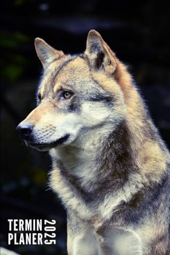 Terminplaner 2025: Wolf - Taschenkalender | Wochenplaner, Terminkalender von Januar bis Dezember 2025 Ideal für Studenten, Berufstätige und ... Kontaktliste, Notizen - Klein Taschenformat