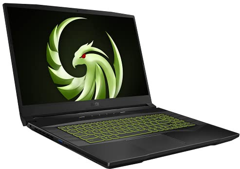 MSI Alpha 17 (43,9 cm (17,3 pollici) / 144 Hz) Gaming Laptop (AMD Ryzen 7 5800H, AMD Radeon RX 6600M, 16 GB DDR4 RAM, 8 GB GDDR6 VRAM, 512 GB, Windows 10 Home) B5EEK-002