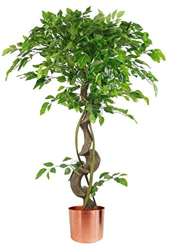 Leaf Künstlicher japanischer Fruticosa Ficusbaum, gedrehtes Kupfer, 120 cm, Verdrehtes Kupfer