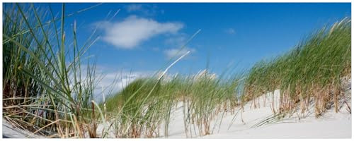 Wallario Küchenrückwand selbstklebend 115 x 50 cm, Motiv: Düne am Strand unter blauem Himmel | Spritzschutz abwischbar & pflegeleicht