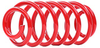 EIBACH F11-30-012-01-HA Fahrwerksfeder Spiralfedern, Spiralfeder, Schraubenfeder Hinten