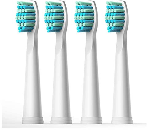 Worship Fit for Fairywill Sonic Elektrische Zahnbürsten Ersatzköpfe Zahnbürstenköpfe Sets Interdentalbürstenköpfe Fit für FW-507 FW-508 FW-917 (Color : AE-FW-01)