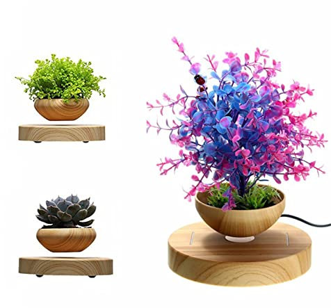 EUNEWR Lévitation Magnétique Flottant Air Bonsaï Pot,Magnétique Lévitation Suspension Pot de Fleurs Micro Paysage Jardinage,Pot de Plantes en Lévitation,pour Home Office Jardin Décoration