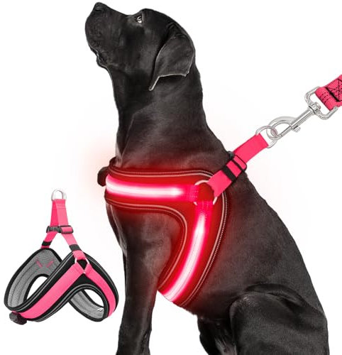 BiPawTi LED Hundegeschirr Leuchtend für Hunde, Aufladbar Leuchtgeschirr Hundeweste mit 3 Lichtmodi - Leuchtet Im Dunkeln Leucht Geschirr für Hunde - Stylische Zubehör fürs Camping mit Hund - Rotlicht