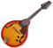 A Style Mandolin 8 Strings Electric Mandolin with Cable and Cleaning Cloth Musical Instrument