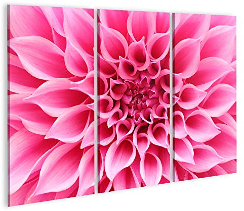 islandburner Prime Bild auf Leinwand Abstrakte Nahaufnahme (Makro) von rosa Dahlie Blume mit hübschen Blüte Bilder Wandbilder Poster