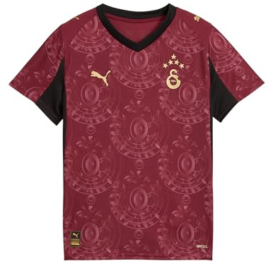 PUMA Galatasaray Istanbul Trikot 3rd 2025/2026 Herren