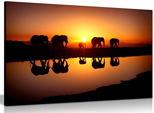 Elephant Canvas Wall Art, African Sunset Wildlife, Large Framed 36x24in | Panther Print, Ready to Hang on Pine Frame, Wildlife Nature Picture for Living Room Bedroom Hallway, Vivid Colours