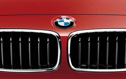 BMW Genuine Front Left NS Grille Sport Fits F30 F30 LCI F31 F31 LCI 51137260497