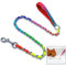 iwobi Hund Kette Leine Heavy Duty Hundeleine für große und kräftige Hunde, Bunt(3x100cm)