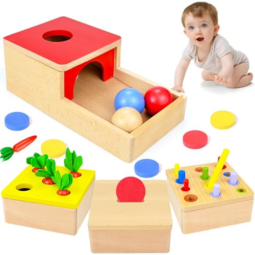 Holzspielzeug Baby, 4 IN 1 Baby Motorik Spielzeug für 6 Monate Jungen und Mädchen, Montessori Spielzeug ab 1 Jahr Sortierspiel Holzpuzzle für Kinder Geburtztag Geschenk New Jahr Geschenk