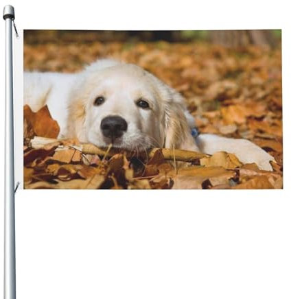 Lazy Dog Puppy Flagge, 90 x 150 cm, doppelseitig, Gartenflaggen, Willkommensflaggen, Banner, Dekoration für Hof, Veranda, Rasen