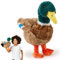Zappi Co Peluche de Canard Colvert (30cm) - Lumineux, Doux Canard, Écologique, Idéal pour Le Jeu Imaginatif des Enfants au Petit Étang, Fabriqué avec Matériel 100% Recyclé