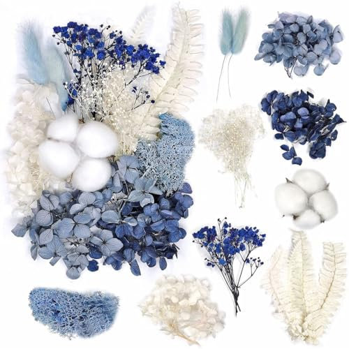 KSJEHW Fiori secchi decorativi fiori secchi composizione fiori secchi bouquet fiori secchi fiori secchi naturali fiori secchi decorativi naturali(blu nero)
