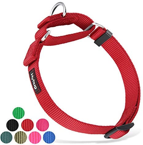 Hyhug Durable Nylon Anti - Escape Martingale Dog Collar for Puppy Boy and Girl Dogs - Walking Training Daily Use. (Small, Red)