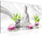 Runa Art Wandbild Buddha Feng Shui 1 Teilig 100 x 40 cm Modern Bild auf Vlies Leinwand Wellness Spa Wohnzimmer Schlafzimmer Bunt 011612c
