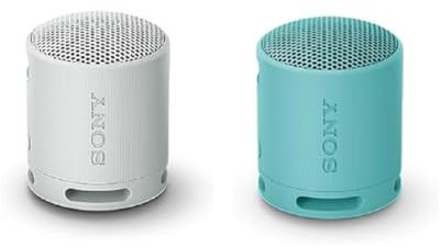 Sony SRS-XB100 - Enceinte sans Fil Bluetooth, Portable, légère, compacte, Durable, IP67, étanche à l'eau et à la poussière, Batterie 16H (Gris + Bleu)