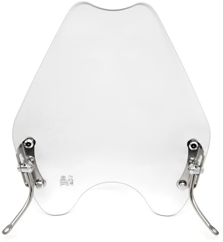 Rolektro E24 Windschutzscheibe 4mm Glas - Rollerscheibe mit Halterung - Windschild für Seniorenmobile E-Trike E-Quad oder bauähnliche - Windschutzglas transparent