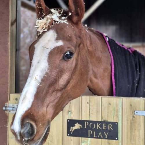Horse Stable Name Sign,Custom Stable Door Sign,Horse Stall Name Plate,Horse Name Plaque,Laser Cut Designs,Personalised Gift Horse Lover