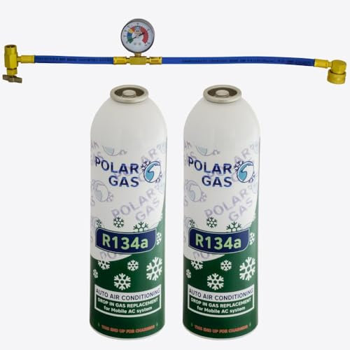 2GCA Car Aircon AC 2pcs R134a Compatible Refill Recharge Regas Gas 584gr + Hose Gauge Kit Clima Accessories DIY filler tube