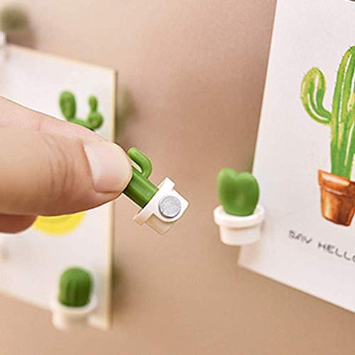 Sujing Sukkulenten-Magnete, süße und niedliche Dekoration, für den Kühlschrank, 6 Stück, Umweltfreundliches Kunstharz + Magnet, weiß