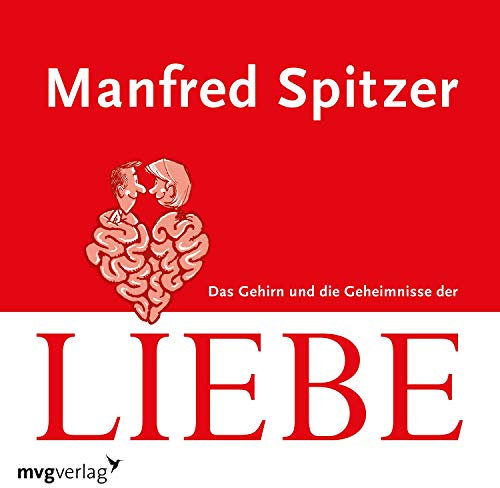 Das Gehirn und die Geheimnisse der Liebe