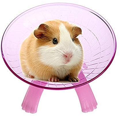 Uteruik Hamsters Small Animal Exercise Flying Saucer Sport Wheel Silent Spinner for Pet Syrian Rat Gerbils Mice Chinchilla Guinea, Color Random 1pcs
