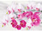 DCIDBEI Diamond Painting Orchideen 40x30 cm - Diamant Painting Bilder Malen nach Zahlen - Erwachsene Blumen