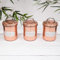 Set Tea Coffee Sugar Hammered Copper Rose Gold Metal Steel Canisters Jars Tins