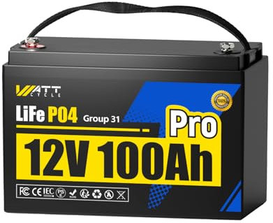 Wattcycle LiFePO4 Batterie 12V 100Ah, BCI Groupe 24, 15000 Cycles, BMS 100A, avec Protection Thermique