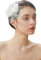 Brautschmuck Hochzeit Feder Schleier Haarnadel Tee Party Kopfschmuck 2 Stück Strass Fascinator Zubehör, weiß, Einheitsgröße