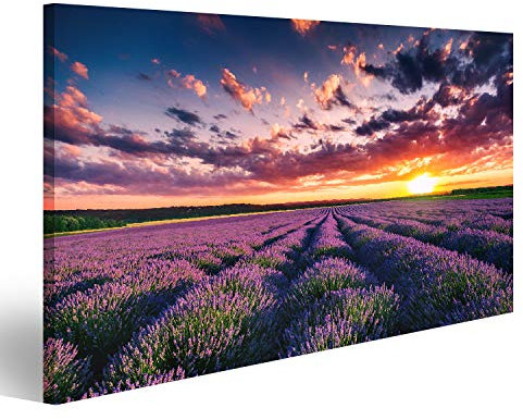 islandburner Bild auf Leinwand Lavendel Blumenfelder In Endlosen Reihen Blühen Sonnenuntergang Bilder Wandbilder Poster