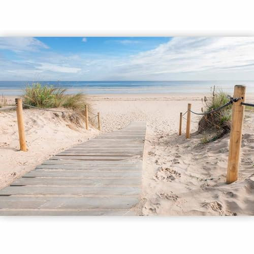 murando Fotomurales Playa 300x210 cm XXL Papel pintado tejido no tejido Decoración de Pared decorativos Murales moderna de Diseno Fotográfico - paisaje c-B-0005-a-b