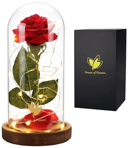 Dream of Flowers Die Schöne und das Biest, rote Seidenrose und LED-Licht in | Charmante Schönheit und Biest Rose, Valentinstag, Geburtstag, Jahrestag Rosen für Oma Ihre Frau Mütter von Tochter
