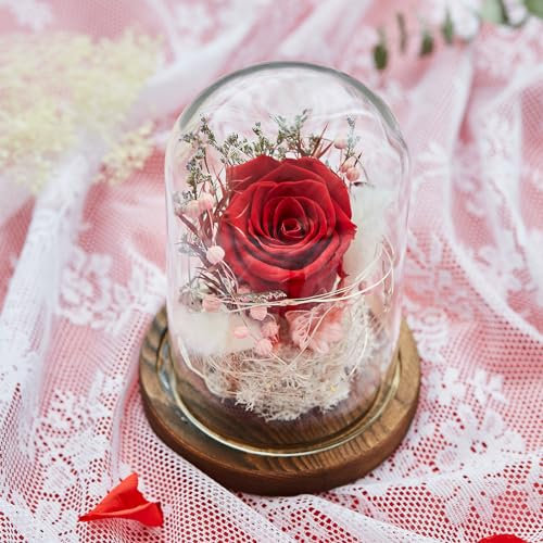 AOKKR Rosa Eterna Natural Preservada, Flores Preservadas con Luz LED Felicitación Rosa Roja con Caja Regalo de Cumpleaños de Aniversario Dia de la Madre Dia de San Valentín para Mamá Novia y Mujeres