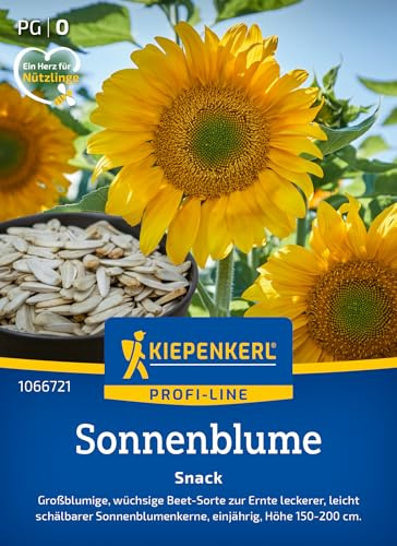 Kiepenkerl Sonnenblumensamen Snack 1066721, Blumensaat | Blumenwiese