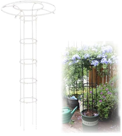 Vertical Umbrella Trellis Garden Support Cage for Climbing Plants | Rustproof Wisteria Trellis Stand for Vines and Flowers | Outdoor Rose Climbing Rack