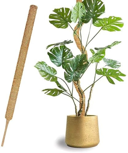 1 Pieza 70cm*4CM tutores para Plantas,Tutor Monstera,Moss Pole,Plegable Tutor Monstera,Trepadoras Fibra de Coco Soporte,Soporte para Plantas de tótem,para Plantas de Interior y Exterior